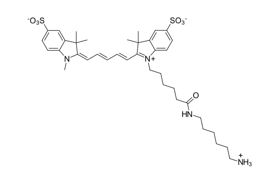 Chemical Structure - Sulfo-Cyanine 5 amine (A270290) - Antibodies.com