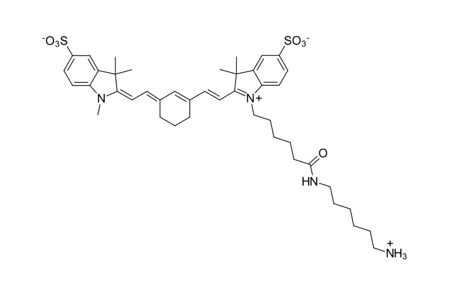 Chemical Structure - Sulfo-Cyanine 7 amine (A270307) - Antibodies.com