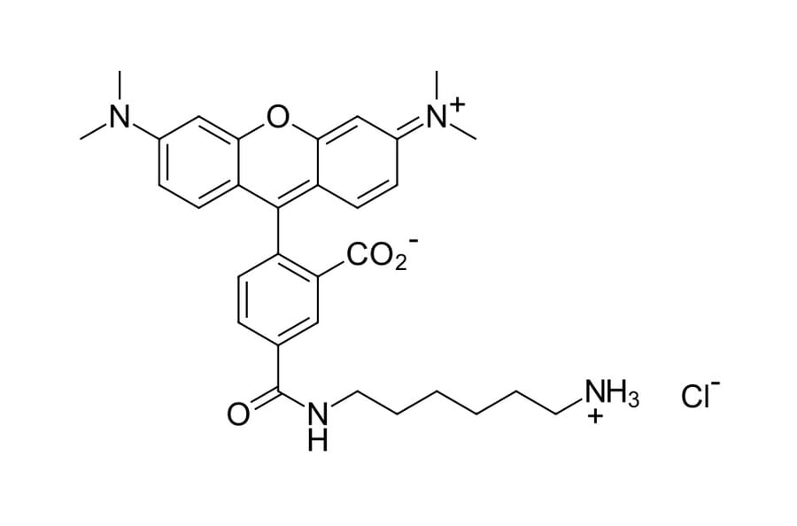 Chemical Structure - TAMRA amine, 5-isomer (A270317) - Antibodies.com