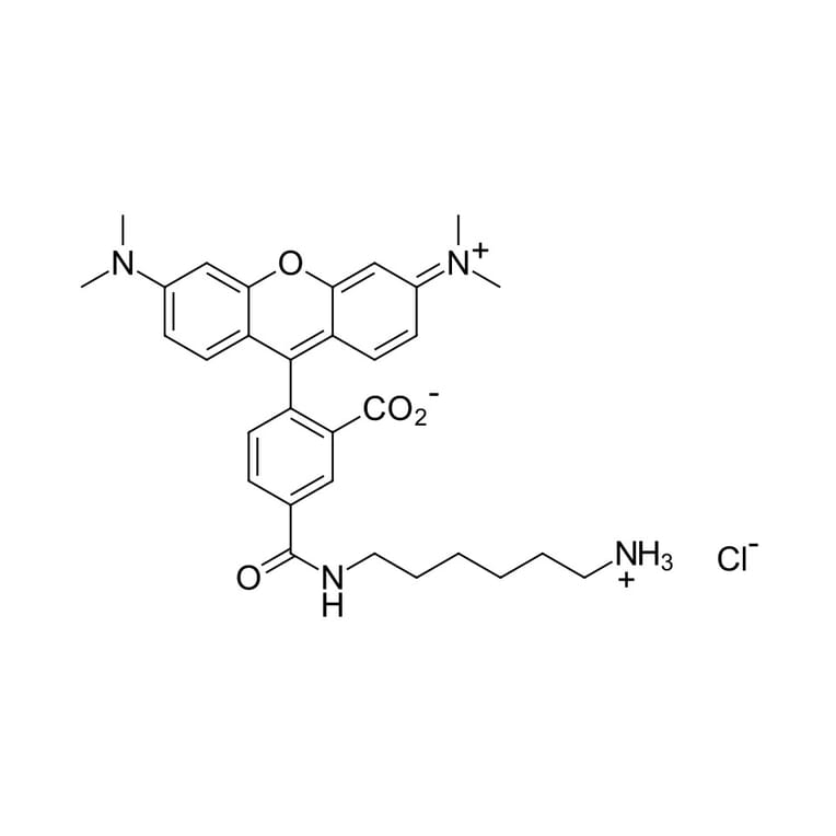 Chemical Structure - TAMRA amine, 5-isomer (A270317) - Antibodies.com