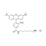 Chemical Structure - TAMRA amine, 5-isomer (A270317) - Antibodies.com