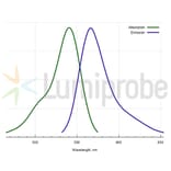 Fluorescence Spectra - TAMRA amine, 5-isomer (A270317) - Antibodies.com