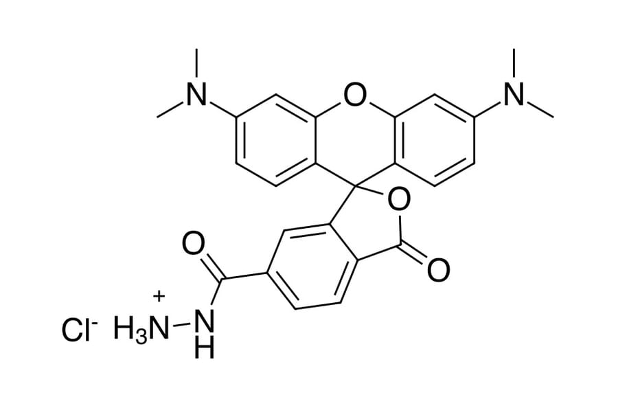 Chemical Structure - TAMRA hydrazide, 6-isomer (A270321) - Antibodies.com