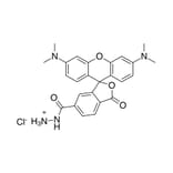 Chemical Structure - TAMRA hydrazide, 6-isomer (A270321) - Antibodies.com