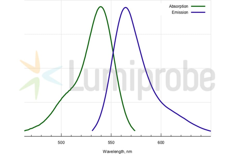 Fluorescence Spectra - TAMRA hydrazide, 6-isomer (A270321) - Antibodies.com