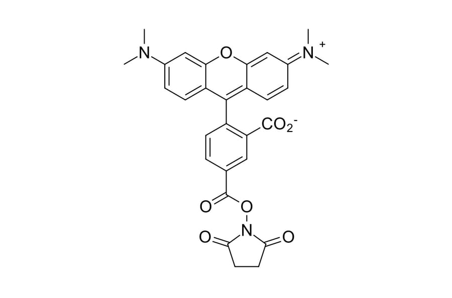 Chemical Structure - TAMRA NHS ester, 5-isomer (A270324) - Antibodies.com