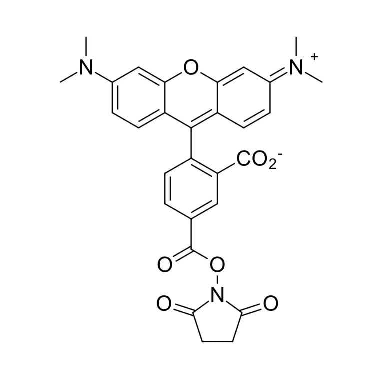 Chemical Structure - TAMRA NHS ester, 5-isomer (A270324) - Antibodies.com