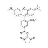 Chemical Structure - TAMRA NHS ester, 5-isomer (A270324) - Antibodies.com