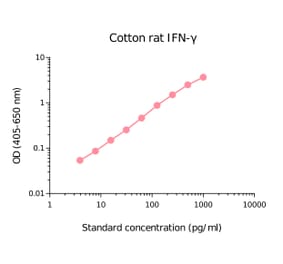 ELISA - Cotton Rat Interferon gamma Matched Antibody Pair Kit (A270379) - Antibodies.com