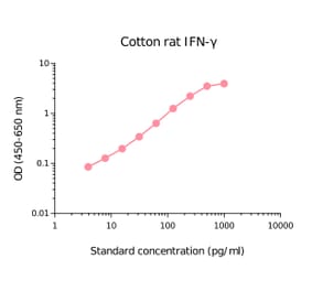 ELISA - Cotton Rat Interferon gamma Matched Antibody Pair Kit (A270465) - Antibodies.com