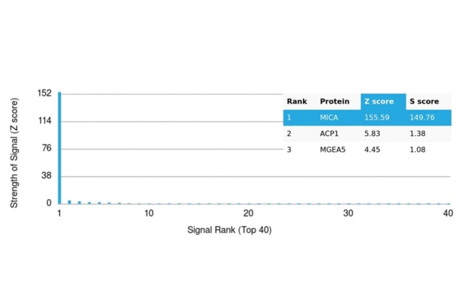 Protein Array - Anti-MICA Antibody [MICA/4442] (A277526) - Antibodies.com