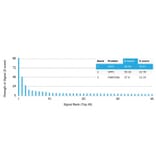 Protein Array - Anti-MICA Antibody [MICA/4443] (A277527) - Antibodies.com