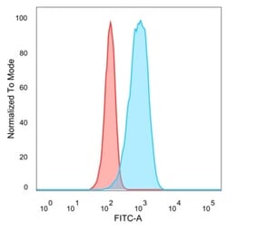 Flow Cytometry - Anti-CELF2 Antibody [PCRP-CELF2-1E4] (A277533) - Antibodies.com