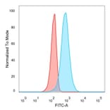 Flow Cytometry - Anti-CELF2 Antibody [PCRP-CELF2-1E4] (A277533) - Antibodies.com