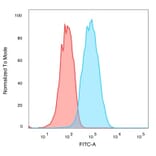 Flow Cytometry - Anti-CELF2 Antibody [PCRP-CELF2-1E4] (A277533) - Antibodies.com