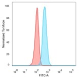 Flow Cytometry - Anti-TDRKH Antibody [PCRP-TDRKH-1H2] (A277537) - Antibodies.com