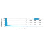 Protein Array - Anti-TDRKH Antibody [PCRP-TDRKH-1H2] (A277537) - Antibodies.com