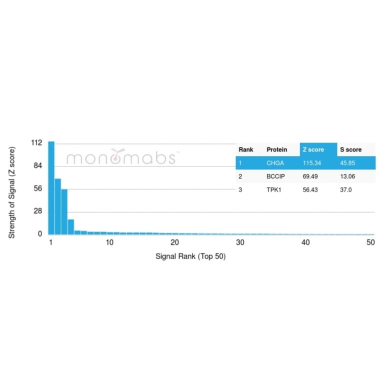 Protein Array - Anti-Chromogranin A Antibody [CHGA/4219] (A277538) - Antibodies.com