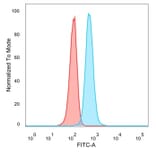 Flow Cytometry - Anti-CHEK2 Antibody [PCRP-CHEK2-1A4] (A277540) - Antibodies.com