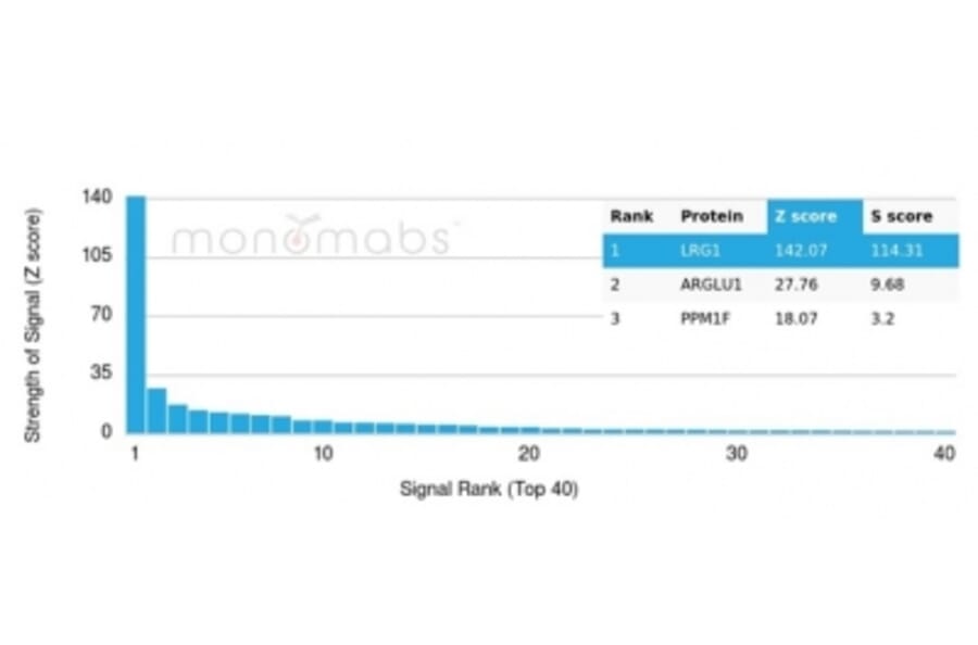 Protein Array - Anti-LRG1 Antibody [LRG1/4882] (A277544) - Antibodies.com