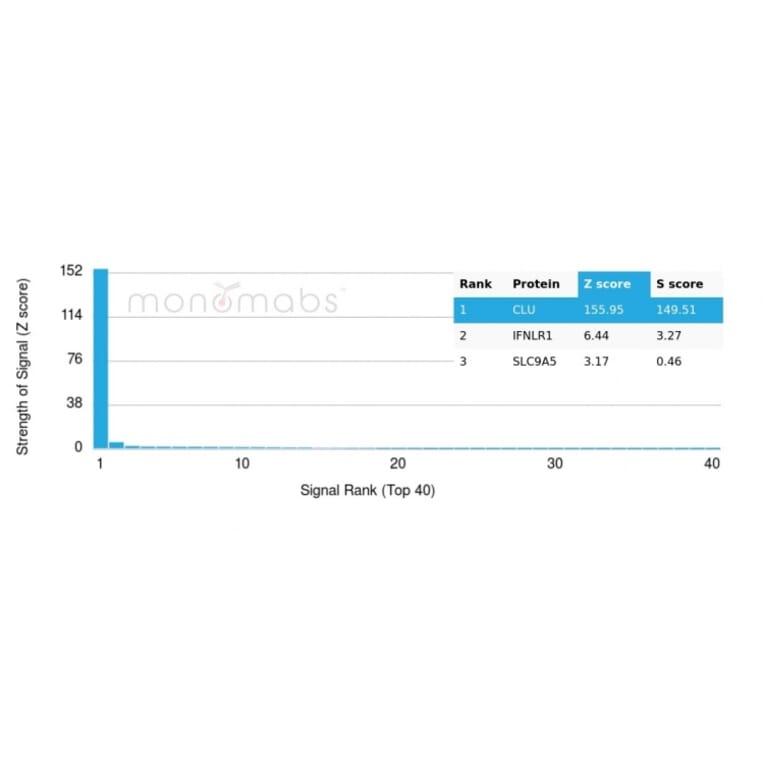 Protein Array - Anti-Clusterin Antibody [CLU/4730] (A277547) - Antibodies.com
