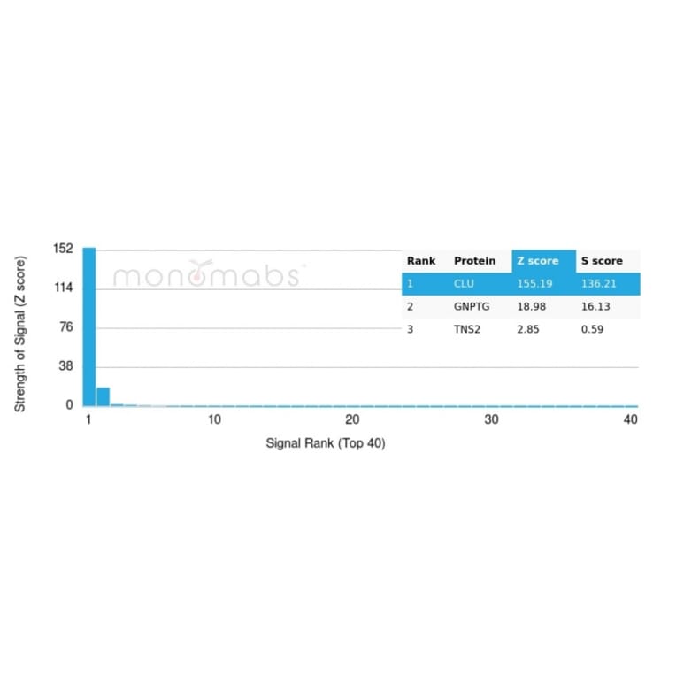 Protein Array - Anti-Clusterin Antibody [CLU/4731] (A277548) - Antibodies.com