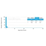 Protein Array - Anti-Clusterin Antibody [CLU/4731] (A277548) - Antibodies.com