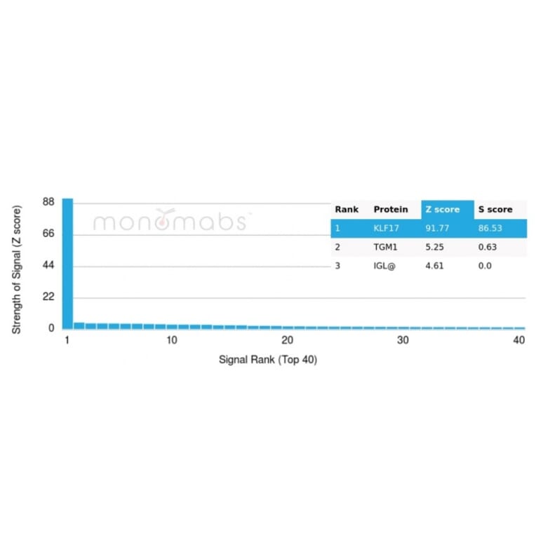 Protein Array - Anti-KLF17 Antibody [PCRP-KLF17-1G2] (A277559) - Antibodies.com