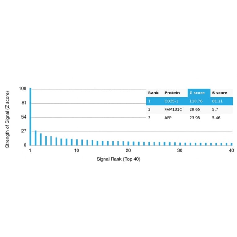 Protein Array - Anti-CD35 Antibody [CR1/6377] (A277563) - Antibodies.com