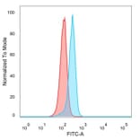 Flow Cytometry - Anti-ATF2 Antibody [PCRP-ATF2-1B4] (A277565) - Antibodies.com