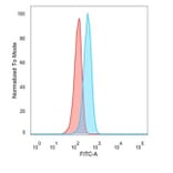 Flow Cytometry - Anti-ATF2 Antibody [PCRP-ATF2-1B4] (A277565) - Antibodies.com