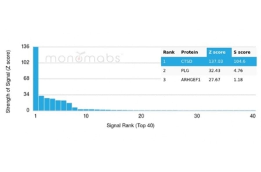 Protein Array - Anti-Cathepsin D Antibody [CTSD/4497] (A277569) - Antibodies.com