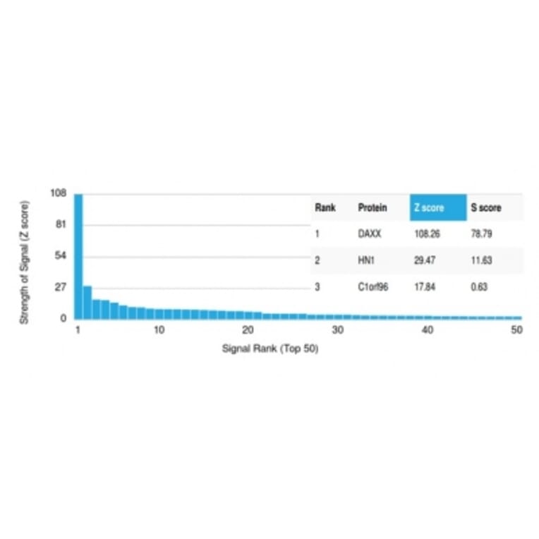 Protein Array - Anti-DAXX Antibody [PCRP-DAXX-5G11] (A277571) - Antibodies.com