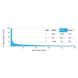 Protein Array - Anti-DAXX Antibody [PCRP-DAXX-5G11] (A277571) - Antibodies.com