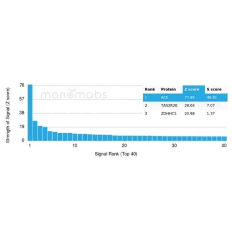 Protein Array - Anti-Angiotensin Converting Enzyme 1 Antibody [ACE/3764] (A277574) - Antibodies.com