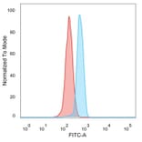Flow Cytometry - Anti-DCP2 Antibody [PCRP-DCP2-1D6] (A277575) - Antibodies.com