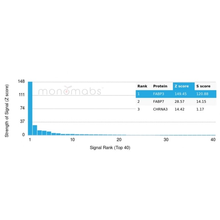 Protein Array - Anti-H-FABP Antibody [FABP3/3430] (A277593) - Antibodies.com