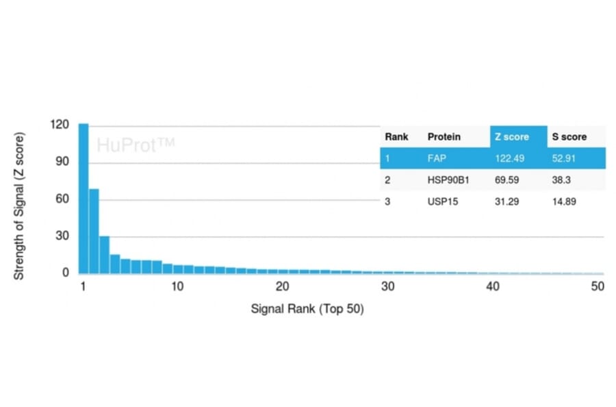 Protein Array - Anti-Fibroblast Activation Protein alpha Antibody [FAP/4854] (A277596) - Antibodies.com
