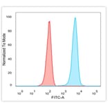 Flow Cytometry - Anti-JAZF1 Antibody [PCRP-JAZF1-1C2] (A277604) - Antibodies.com