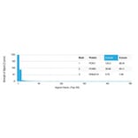 Protein Array - Anti-FOXL1 Antibody [PCRP-FOXL1-1F8] (A277605) - Antibodies.com