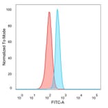 Flow Cytometry - Anti-HIC2 Antibody [PCRP-HIC2-1B1] (A277608) - Antibodies.com