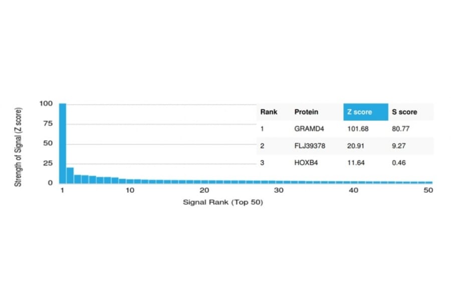 Protein Array - Anti-GRAMD4 Antibody [PCRP-GRAMD4-1A10] (A277610) - Antibodies.com