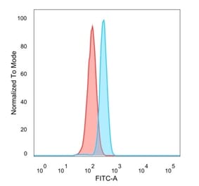 Flow Cytometry - Anti-CNOT10 Antibody [PCRP-CNOT10-1D5] (A277622) - Antibodies.com