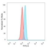 Flow Cytometry - Anti-CNOT10 Antibody [PCRP-CNOT10-1D5] (A277622) - Antibodies.com