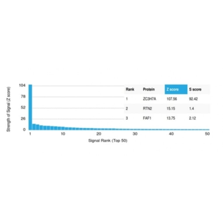 Protein Array - Anti-ZC3H7A Antibody [PCRP-ZC3H7A-1D6] (A277636) - Antibodies.com