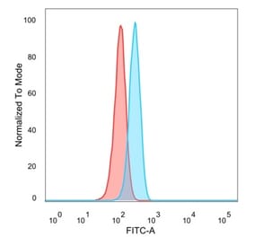 Flow Cytometry - Anti-GTF2A1 Antibody [PCRP-GTF2A1-1F2] (A277637) - Antibodies.com
