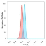 Flow Cytometry - Anti-GTF2A1 Antibody [PCRP-GTF2A1-1F2] (A277637) - Antibodies.com