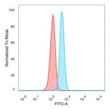 Flow Cytometry - Anti-TFIIB Antibody [PCRP-GTF2B-1D1] (A277638) - Antibodies.com