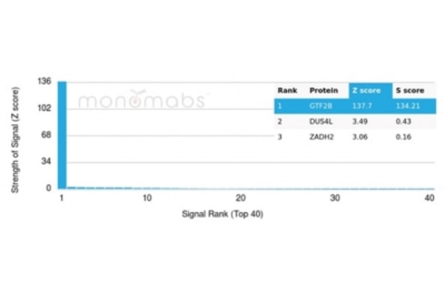Protein Array - Anti-TFIIB Antibody [PCRP-GTF2B-1D1] (A277638) - Antibodies.com