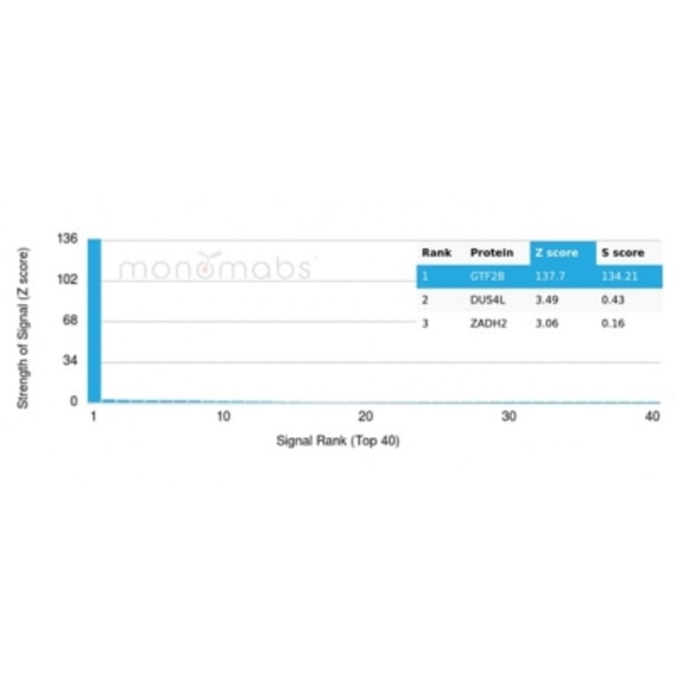 Protein Array - Anti-TFIIB Antibody [PCRP-GTF2B-1D1] (A277638) - Antibodies.com